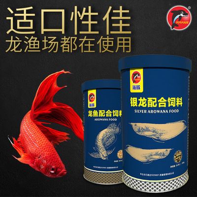 招財貓魚龍魚混養怎么養好看：招財貓魚與龍魚混養，打造和諧水族生態的秘籍
