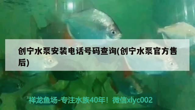 創寧水泵安裝電話號碼查詢(創寧水泵官方售后) 創寧水泵安裝電話號碼查詢(創寧水泵官方售后) 創寧水族