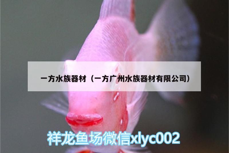 一方水族器材（一方廣州水族器材有限公司） 一方水族器材（一方廣州水族器材有限公司） 一方水族