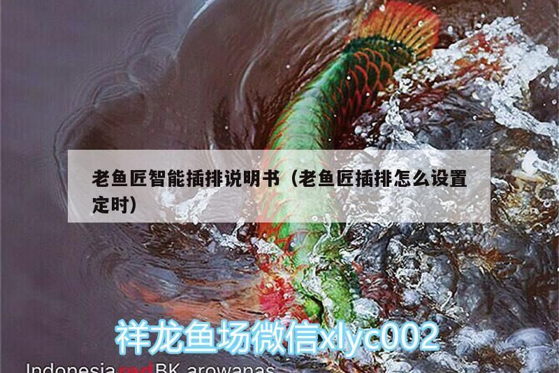老魚匠智能插排說明書（老魚匠插排怎么設置定時）