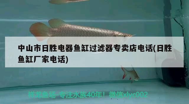 中山市日勝電器魚缸過濾器專賣店電話(日勝魚缸廠家電話)