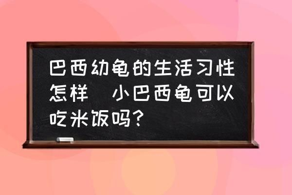 龍魚白蒙眼給什么藥vs祥龍魚場：龍魚白蒙眼如何治療 龍魚白蒙眼給什么藥vs祥龍魚場：龍魚白蒙眼如何治療 vs祥龍魚場 第4張