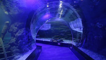 水族館隧道設計的環保材料選擇（在水族館隧道設計中采用環保材料的重要性及方法及方法）