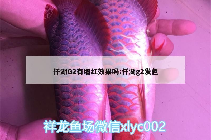 仟湖G2有增紅效果嗎:仟湖g2發(fā)色 仟湖G2有增紅效果嗎:仟湖g2發(fā)色 仟湖