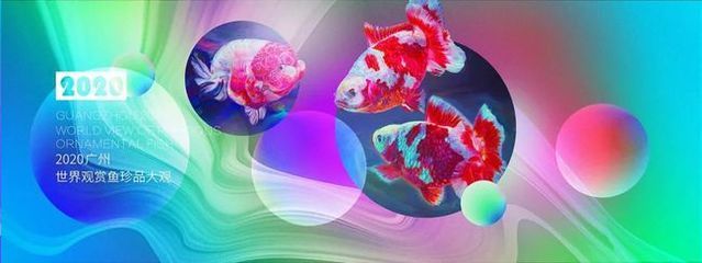 2024年廣州世界觀賞魚珍品大觀：2020年廣州世界觀賞魚珍品大觀開幕式時間和參觀時間 2024年廣州世界觀賞魚珍品大觀：2020年廣州世界觀賞魚珍品大觀開幕式時間和參觀時間 魚缸百科 第3張
