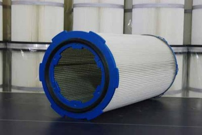 招財龍魚圖片及價格大全：探秘招財龍魚，圖片賞析與價格揭秘