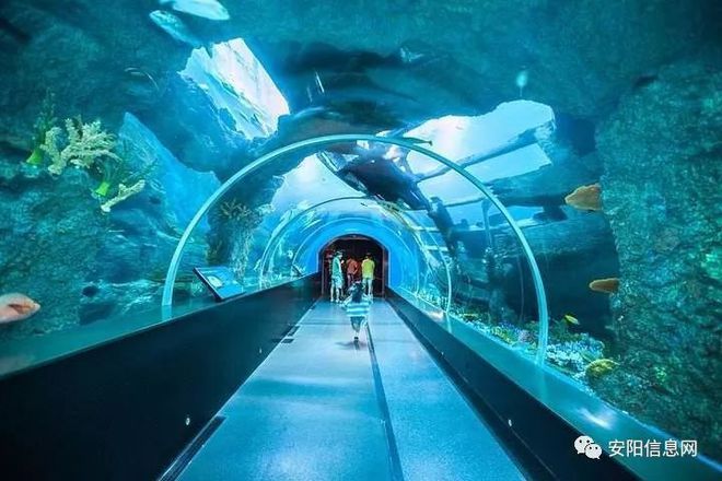 水族館面積（世界十大水族館排名更新水族館面積與生物多樣性之間的關系）