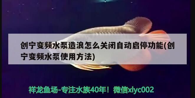創寧變頻水泵造浪怎么關閉自動啟停功能(創寧變頻水泵使用方法)