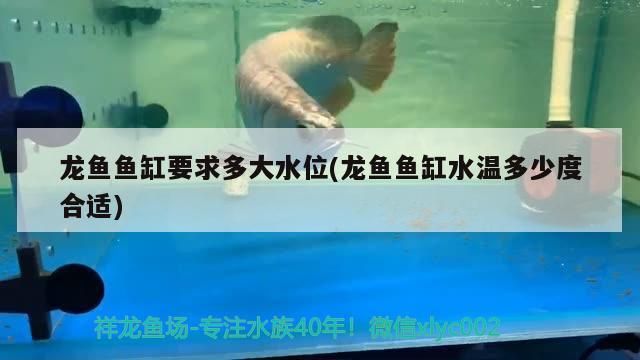龍魚魚缸要求多大水位(龍魚魚缸水溫多少度合適) 龍魚魚缸要求多大水位(龍魚魚缸水溫多少度合適) 九鼎魚缸