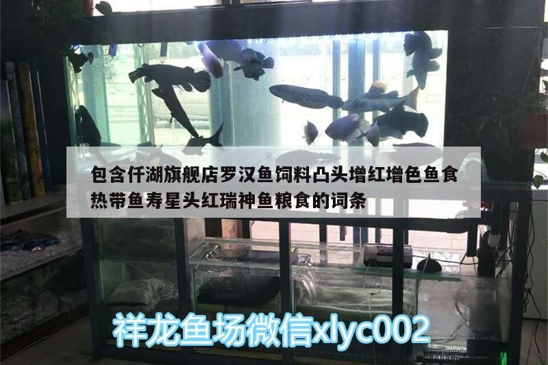 包含仟湖旗艦店羅漢魚飼料凸頭增紅增色魚食熱帶魚壽星頭紅瑞神魚糧食的詞條 包含仟湖旗艦店羅漢魚飼料凸頭增紅增色魚食熱帶魚壽星頭紅瑞神魚糧食的詞條 仟湖