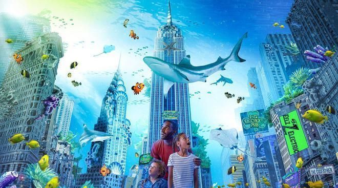 水族館開業做什么活動（水族館開業優惠活動）