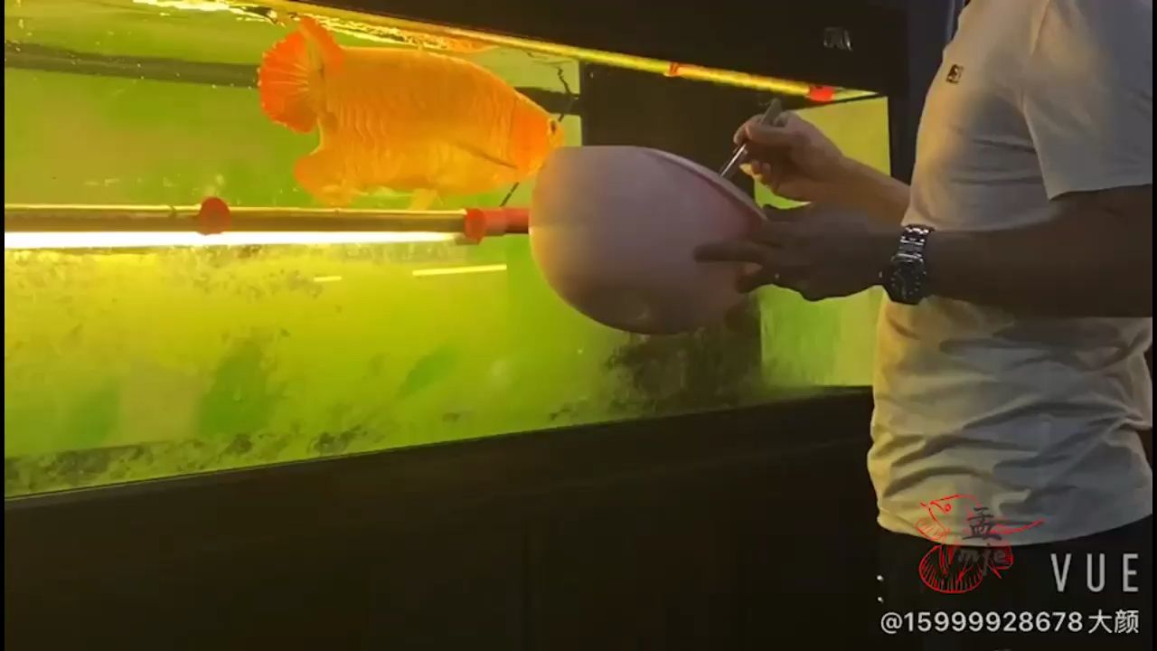 孟吉爾～萬吉加長版本80？+ 孟吉爾～萬吉加長版本80？+ 廣州孟吉爾 第1張