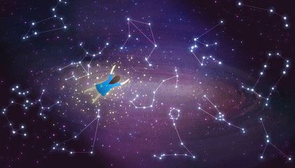 招財金龍魚價格表圖片：招財金龍魚價格全解析，探尋市場行情與價值奧秘