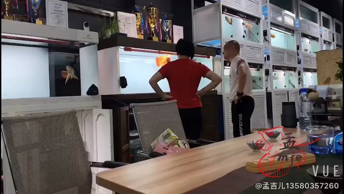 孟吉爾～賞魚繼續