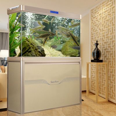 紅龍魚的顏色分類圖(金龍魚顏色分類)