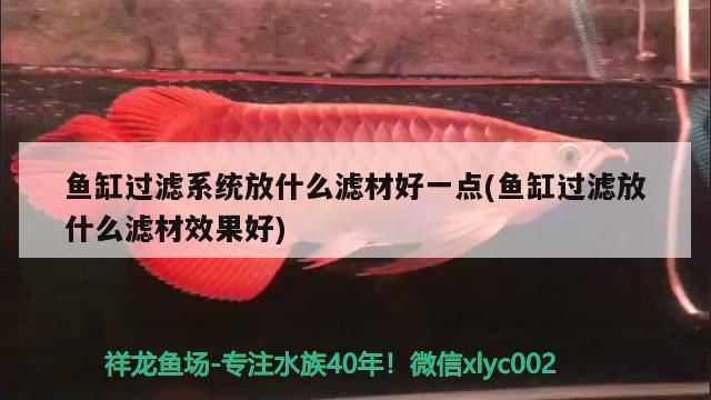 魚缸過濾系統放什么濾材好一點(魚缸過濾放什么濾材效果好)