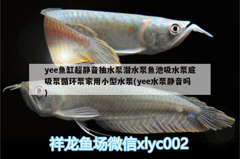 yee魚缸超靜音抽水泵潛水泵魚池吸水泵底吸泵循環泵家用小型水泵(yee水泵靜音嗎)