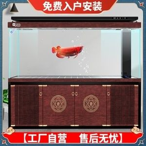 yee魚缸底濾：yee魚缸底濾的優勢 yee魚缸底濾：yee魚缸底濾的優勢 yee 第4張