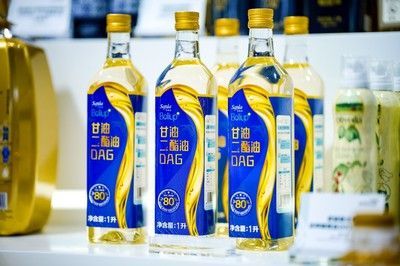 金龍魚健康體重標準：關于金龍魚健康體重標準的詳細信息