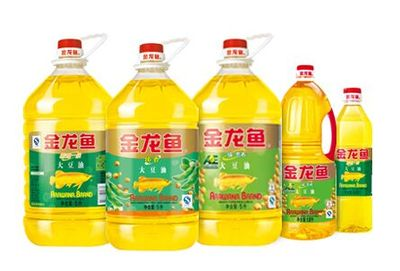 金龍魚健康體重標準：關于金龍魚健康體重標準的詳細信息