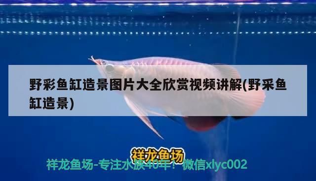 鄯善縣樂趣漁具店 鄯善縣樂趣漁具店 全國水族館企業名錄 第2張
