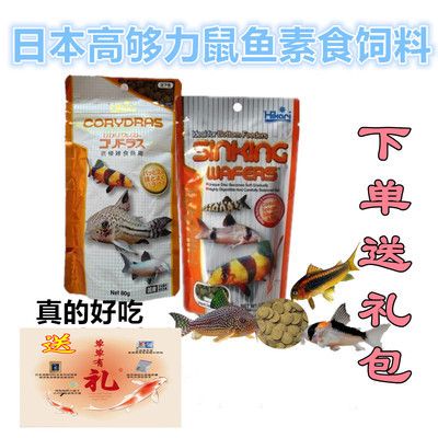 招財和龍魚能混養嗎圖片大全：招財與龍魚混養之探秘，可行與否及觀賞攻略