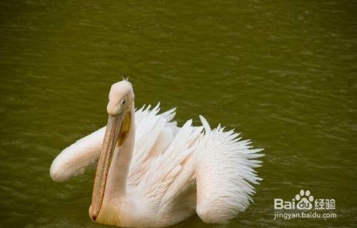 呼和浩特魚缸維修哪家好啊多少錢啊(魚缸維修在58同城)