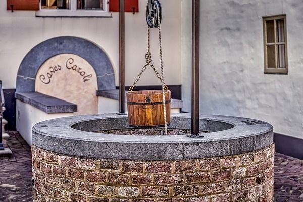 祥龍魚場在中國有哪些代理？，成都祥龍水族館 祥龍魚場在中國有哪些代理？，成都祥龍水族館 龍魚百科 第2張