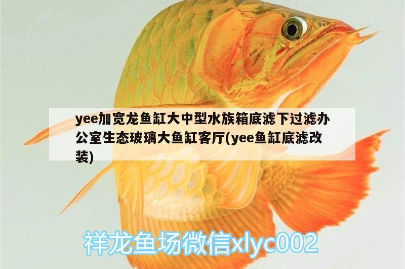 yee加寬龍魚缸大中型水族箱底濾下過濾辦公室生態玻璃大魚缸客廳(yee魚缸底濾改裝)