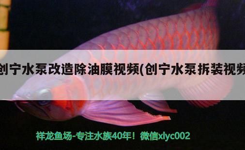 創寧水泵改造除油膜視頻(創寧水泵拆裝視頻) 創寧水泵改造除油膜視頻(創寧水泵拆裝視頻) 創寧水族