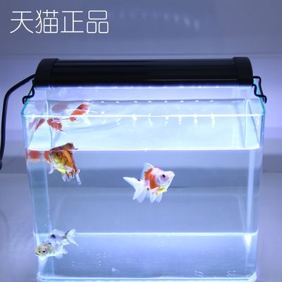 創寧水族代理:創寧水族用品有限公司91371581ma945ccn1m 創寧水族 第3張 創寧水族代理:創寧水族用品有限公司91371581ma945ccn1m 創寧水族代理:創寧水族用品有限公司91371581ma945ccn1m 創寧水族 第3張