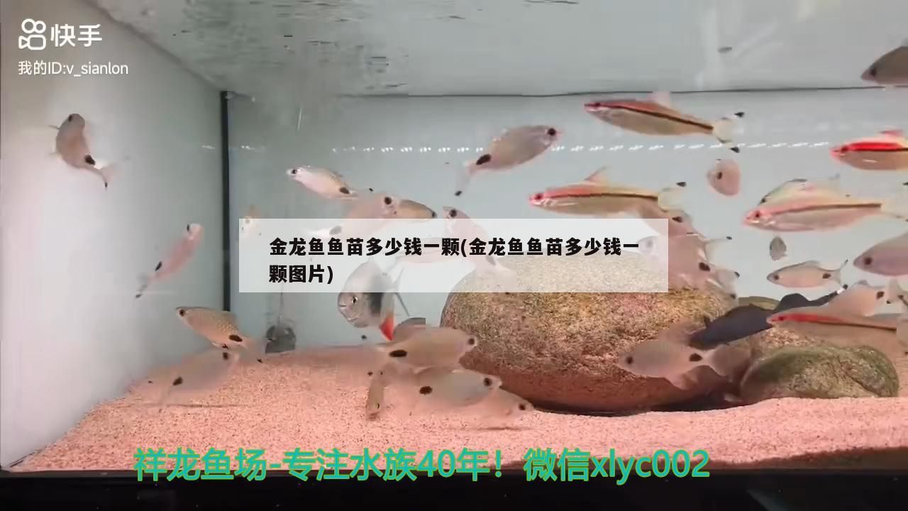 福州魚缸廠家直銷店電話地址（ 福州魚缸廠家直銷店電話地址查詢）