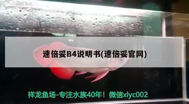 速倍妥B4說明書(速倍妥官網)