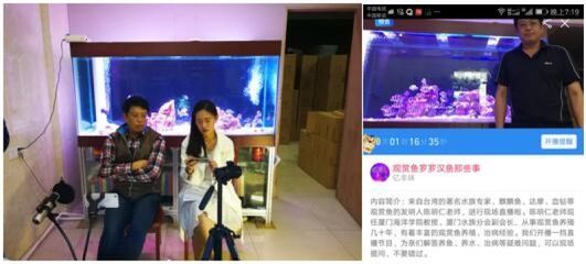 觀賞魚直播間直播策劃怎么做（觀賞魚直播策劃方案：直播帶貨的心理學直播帶貨的應用）