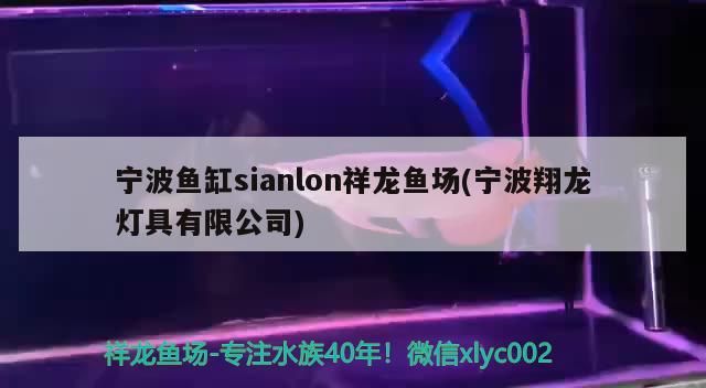龍魚干蝦有營養嗎 寧波魚缸sianlon祥龍魚場(寧波翔龍燈具有限公司) vs祥龍魚場 寧波魚缸sianlon祥龍魚場(寧波翔龍燈具有限公司) 寧波魚缸sianlon祥龍魚場(寧波翔龍燈具有限公司) vs祥龍魚場