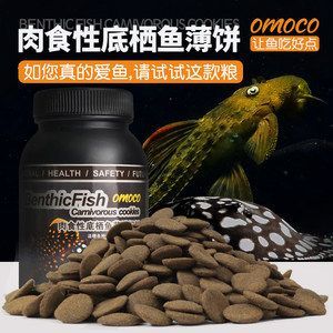 魟魚能喂飼料嗎有毒嗎能吃嗎：魟魚的飼養需要注意以下幾個方面