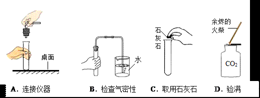 長的像龍魚的小型魚是什么魚：探尋酷似龍魚的小型魚之謎