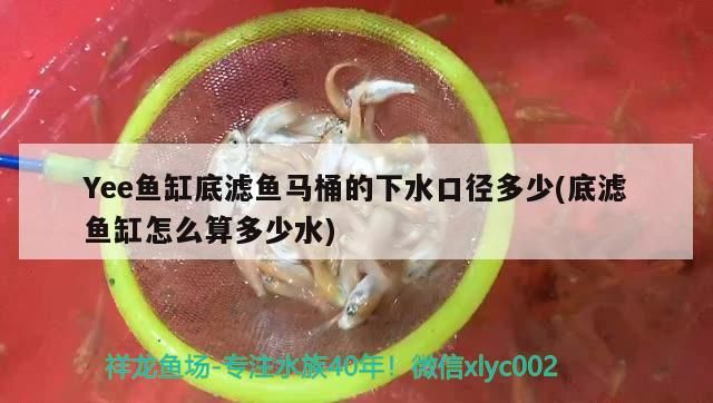 Yee魚缸底濾魚馬桶的下水口徑多少(底濾魚缸怎么算多少水)