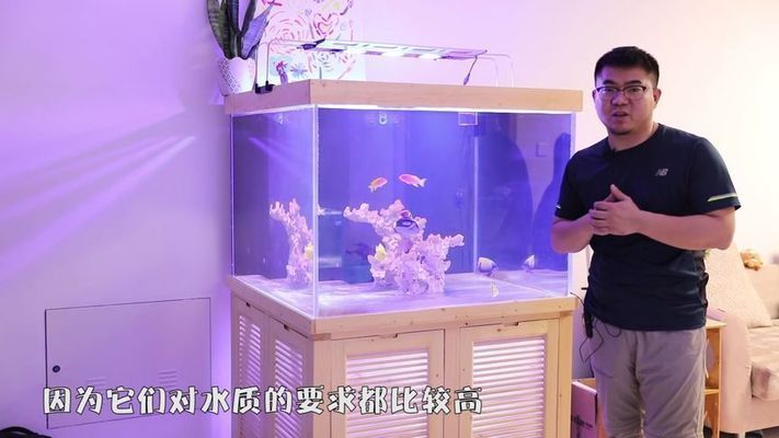 魚缸過濾器最建議買哪種，如何選擇魚缸過濾器