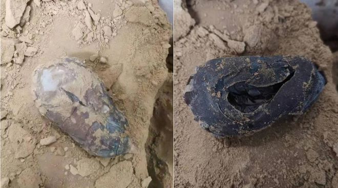 長春龍魚上門回收電話號碼查詢是多少號：探尋長春龍魚上門回收電話號碼，渠道、考量與注意事項 長春龍魚上門回收電話號碼查詢是多少號：探尋長春龍魚上門回收電話號碼，渠道、考量與注意事項 龍魚百科 第3張