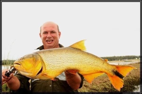 招財貓微信頭像，寓意、選擇與使用的全面指南