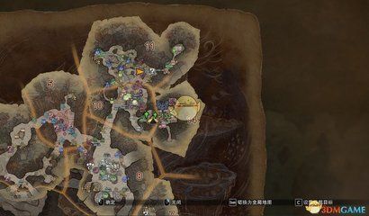 招財龍最忌三種魚，風水禁忌與化解之道