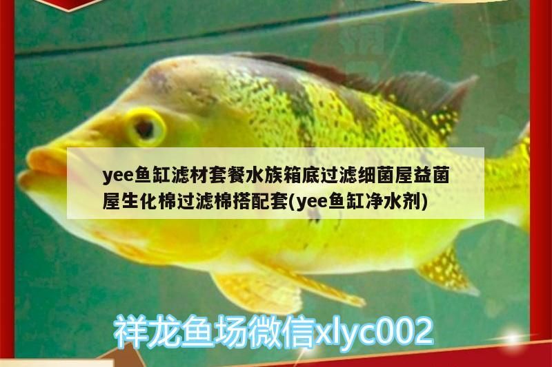 yee魚缸濾材套餐水族箱底過濾細菌屋益菌屋生化棉過濾棉搭配套(yee魚缸凈水劑) yee魚缸濾材套餐水族箱底過濾細菌屋益菌屋生化棉過濾棉搭配套(yee魚缸凈水劑) yee