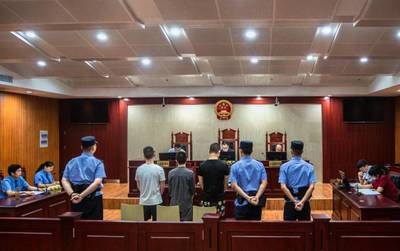 招財龍最忌諱的三個東西，風水禁忌與化解之道