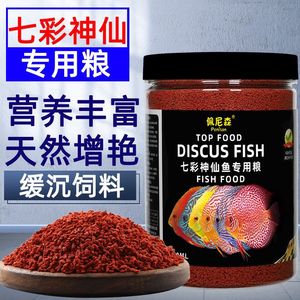 招財龍魚水溫40度正常嗎？全面解析龍魚適宜水溫及養(yǎng)護(hù)要點 招財龍魚水溫40度正常嗎？全面解析龍魚適宜水溫及養(yǎng)護(hù)要點 龍魚百科 第2張