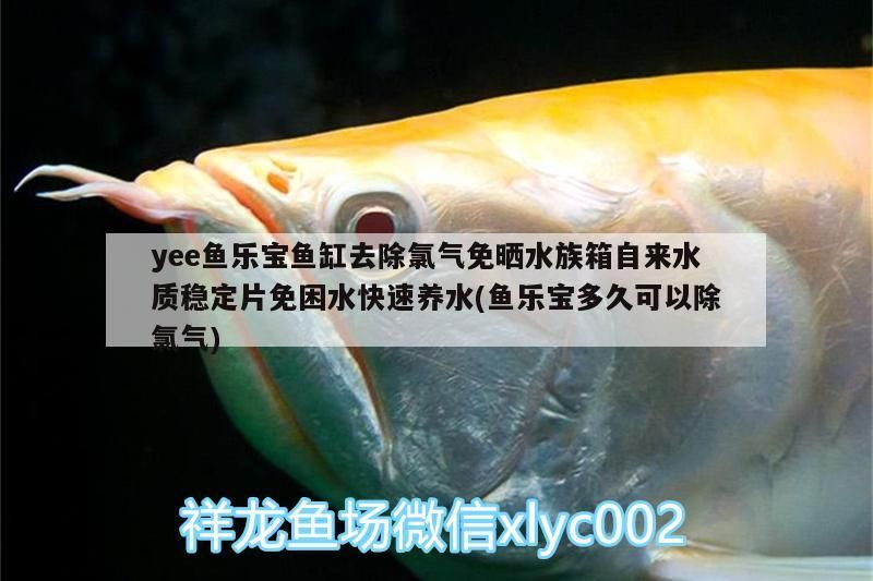 yee魚樂寶魚缸去除氯氣免曬水族箱自來水質穩定片免困水快速養水(魚樂寶多久可以除氯氣)