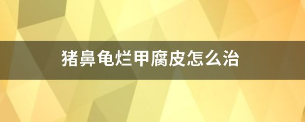 豬鼻龜身上腐皮白點怎么回事:豬鼻龜身上出現白色點點是怎么回事 豬鼻龜百科 第6張 豬鼻龜身上腐皮白點怎么回事:豬鼻龜身上出現白色點點是怎么回事 豬鼻龜身上腐皮白點怎么回事:豬鼻龜身上出現白色點點是怎么回事 豬鼻龜百科 第6張
