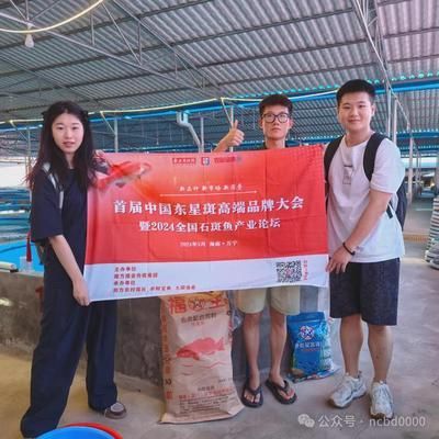 長尾龍鳳錦鯉魚，水中仙子的優雅之美