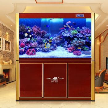 80x30x50的魚缸：80x30x50的魚缸尺寸選擇魚缸尺寸選擇因素 80x30x50的魚缸：80x30x50的魚缸尺寸選擇魚缸尺寸選擇因素 魚缸百科 第3張