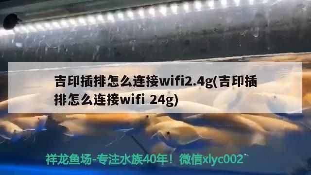 吉印插排怎么連接wifi2.4g(吉印插排怎么連接wifi24g) 吉印插排怎么連接wifi2.4g(吉印插排怎么連接wifi24g) 吉印水族